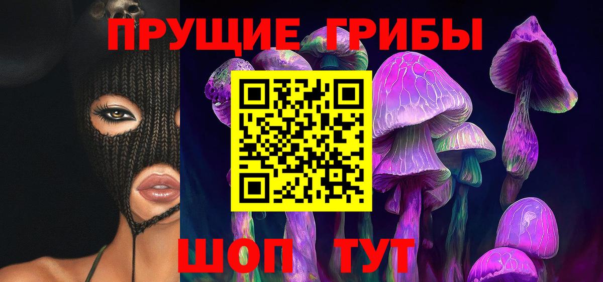 Чайковский  Псилоцибиновые грибы MAGIC MUSHROOMS  Псилоцибиновые грибы Cubensis  Вход с VPN 