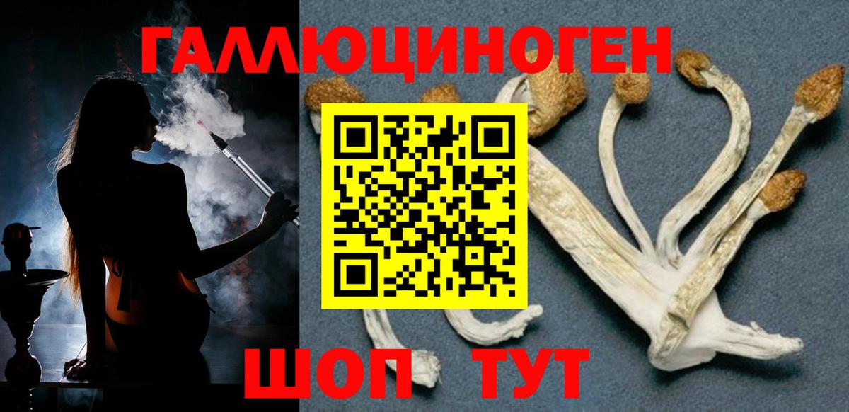 Галлюциногенные грибы прущие грибы Чайковский